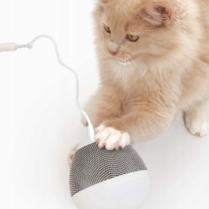 Pixi Spinner, zabawka karmiąca z piórkiem, dla kota, biało/niebieska, 8.5 x 24 cm 7