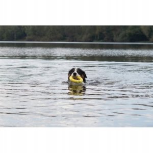 Zeus Nitro, ringo, zabawka, dla psa, 16 cm 4