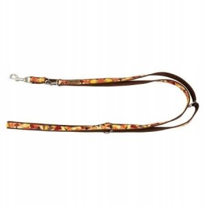 Smycz dla psa, wzór jesień, regulowana, taśma, 10MM/220CM brązowa 3