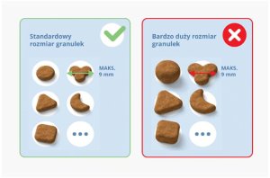 Pixi Smart Feeder Vision, karmidło automatyczne, dla kota, z kamerą, 19,1 × 32,1 × 34,2 cm 6