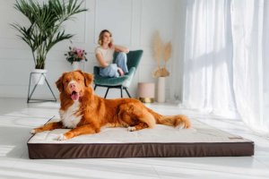 Legowisko ortopedyczne materac dla psa Welsti beżowy kość XXL 150x100 antypoślizgowy 2