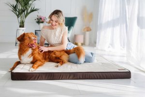 Legowisko ortopedyczne materac dla psa Welsti beżowy kość XXL 150x100 antypoślizgowy 3