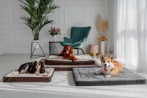 Legowisko ortopedyczne materac dla psa Welsti beżowy kość XXL 150x100 antypoślizgowy 4