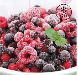 Panasonic NE-1027EBG Kuchenka mikrofalowa Profesjonalna 1000W 22L 10