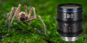 Obiektyw Laowa Sword 60 mm T2,9 2x Macro Cine do Arri PL 10