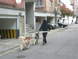 YASHICA DigiPix 100 (White) 5