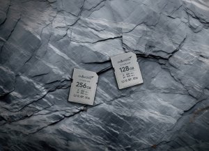 Karta ExAscend Titanium 256GB UHS-I V30 (EX256GSDU1-M) 2