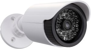 Atrapa kamery tubowej, diody IR LED, biała, zasilanie 2xAA (brak w zestawie), ABS, IR1800 W 161