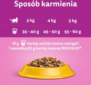 WHISKAS Sterile 3,8 kg - sucha karma dla dorosłego kota po zabiegu kastracji, z pysznym kurczakiem 4
