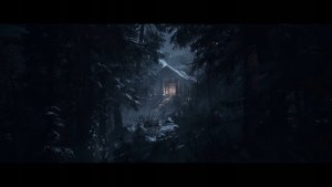 Sony Until Dawn Remake (PS5) 5