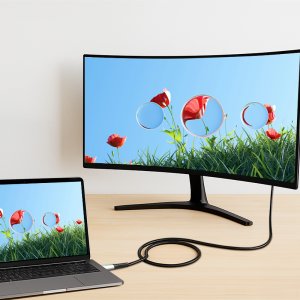 LogiLink USB-C 20 Gb/s, 100W 0.3m w oplocie czarny 3