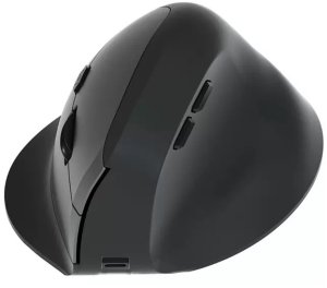 Equip 245120 myszka Uniwersalne Po prawej stronie RF Wireless + Bluetooth Optyczny 1600 DPI 2