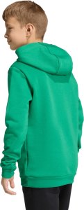 Adidas Bluza dla dzieci adidas Entrada 26 Hoody zielona JZ6563 164cm 5