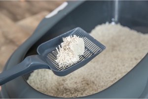 Żwirek dla kota, tofu, zbrylający, 4,5 kg 4