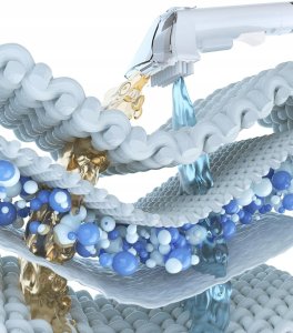 HAUSHOF StainZapper Odkurzacz Piorący do Dywanów Tapicerki Sof 400W 2