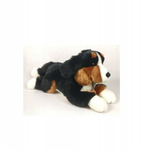 Dubi Pies Berneński 42cm 49003 2