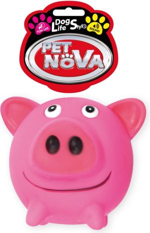 Pet Nova VIN Pig Ball 10cm 1