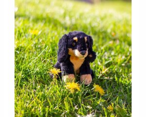 Animigos World of Nature mini jamnik 2