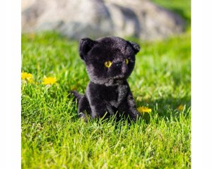 Animigos World of Nature czarny kot 2