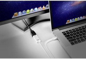 Renkforce RF-3697532, 0.5 m, Mini DisplayPort, HDMI, Male, Male, Straight 2