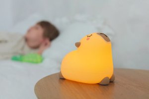 INNOGIO GIOCOCO KAPIBARA 2