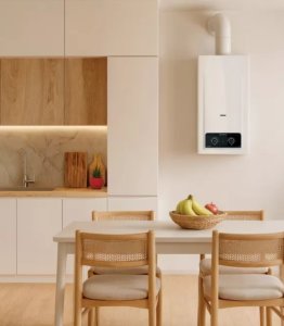 Przepływowy podgrzewacz wody Ariston AKROS RX 1020 Gazowy przepływowy podgrzewacz wody 19,5 KW (4332007) 2