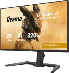Monitor iiyama G-Master GB2591HSU-B1 Gold Phoenix 7