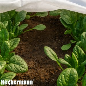 Agrotkanina Heckermann 1,6x10m 50g/m2 Biała Agrowłóknina okrywowa 2