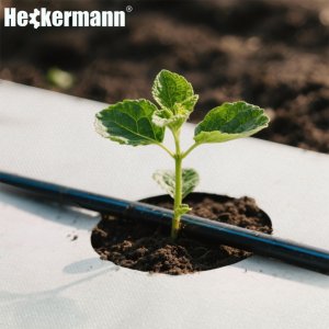 Agrotkanina Heckermann 1,6x10m 50g/m2 Biała Agrowłóknina okrywowa 3