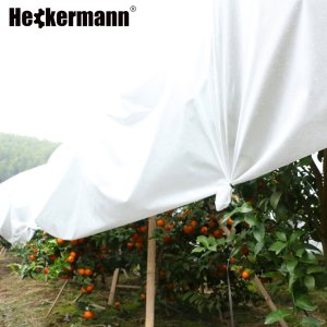 Agrotkanina Heckermann 1,6x10m 50g/m2 Biała Agrowłóknina okrywowa 6
