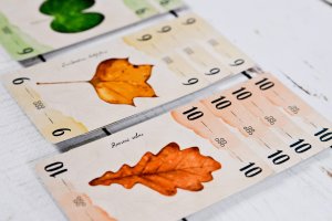 Portal Games Gra karciana Liście 11