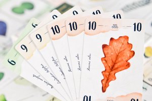 Portal Games Gra karciana Liście 14