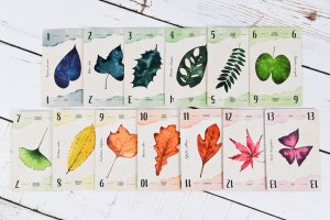 Portal Games Gra karciana Liście 6