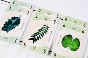 Portal Games Gra karciana Liście 9
