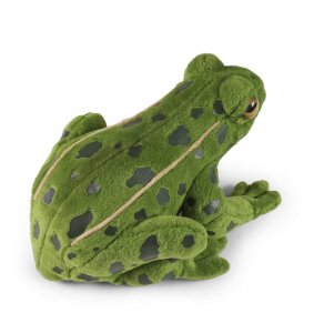 Rappa Pluszowa realistyczna maskotka Żaba zielona 19 cm 2