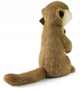 Rappa Pluszowa realistyczna maskotka Surykatka stojąca 23 cm Soft Collection 4