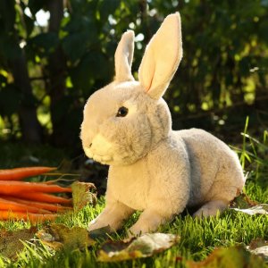 Rappa Pluszowa realistyczna maskotka Królik 23 cm Soft Collection 5