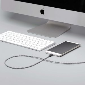 Native Union Belt Cable USB-A to USB-C 3m Zebra 2