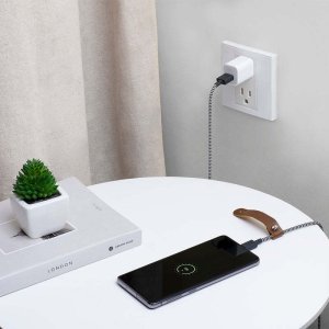 Native Union Belt Cable USB-A to USB-C 3m Zebra 3