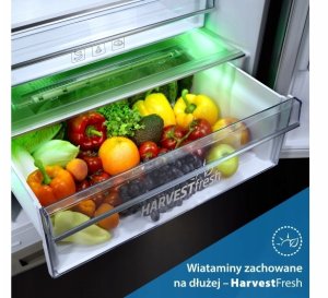 Chłodziarka Beko B5RGNA355HXBR 5