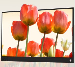 Monitor Zeuslap P15A 3