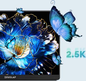 Monitor Zeuslap P16F 2