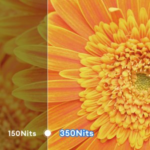 Monitor Zeuslap P16ST 3