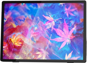 Monitor Zeuslap Z13K 2