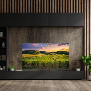 TV SET LCD 65" QLED 4K/65QG5C14 THOMSON 4