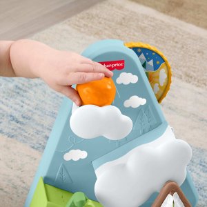 Fisher-Price Leśni Przyjaciele Góra z piłeczkami 3