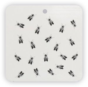 NO PEST Pułapka na Mole Spożywcze Kuchenne Przeciw Molom do Monitorowania Moli (4 szt) 3