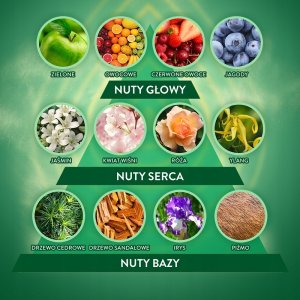 WKŁAD ACTIVE FRESH KWIAT WIŚNI & SOCZYSTE MALINY 228ML 3