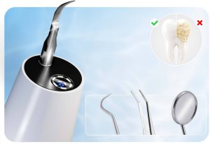 Berdsen Skaler ultradźwiękowy kamera do zębów 4 tryby do usuwania kamienia LED Berdsen BD-250 8