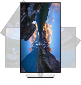 DELL 68.6 cm (27" ) 2560 x 1440, DELL-U2722DE 8